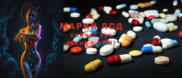 шишки Баксан
