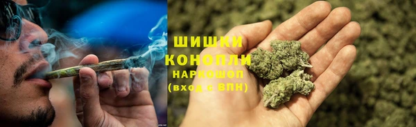 шишки Баксан