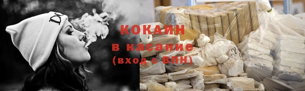 сатива Балахна