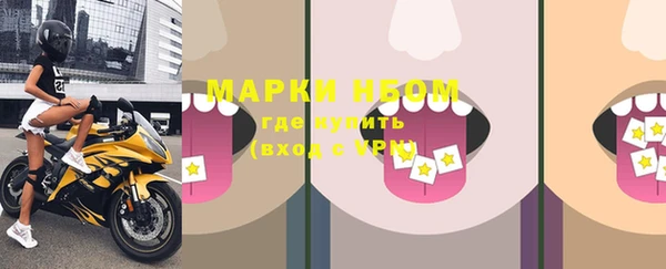 сатива Балахна