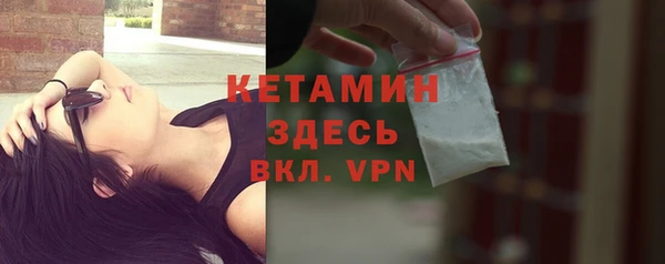 сатива Балахна