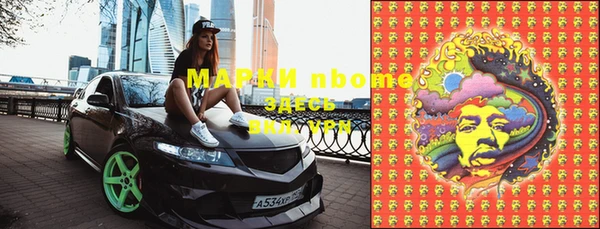 шишки Баксан