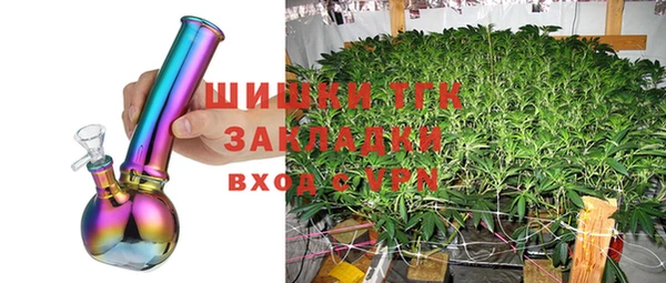 шишки Баксан