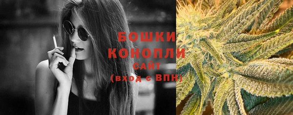 шишки Баксан