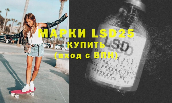 шишки Баксан