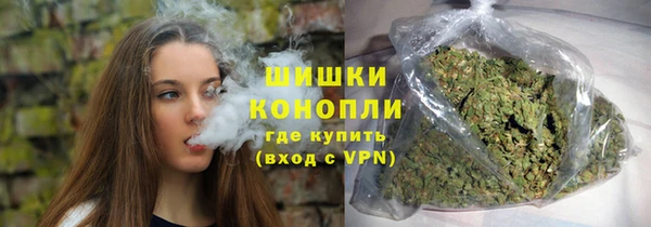 шишки Баксан