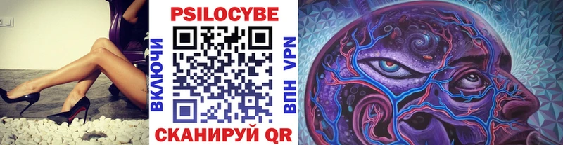 Псилоцибиновые грибы Cubensis  Красный Холм 